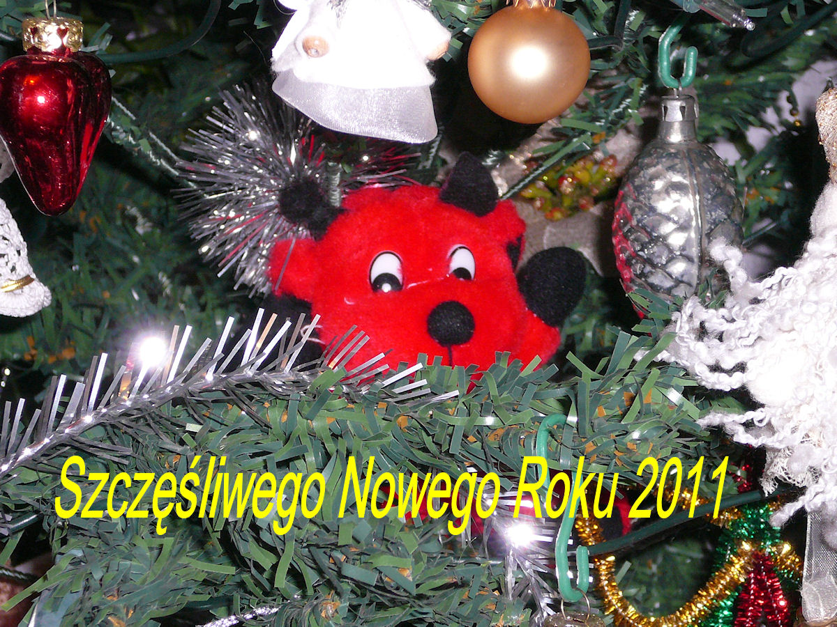 Szczęśliwego Nowego Roku 2012 Szczęśliwego Nowego Roku 2012