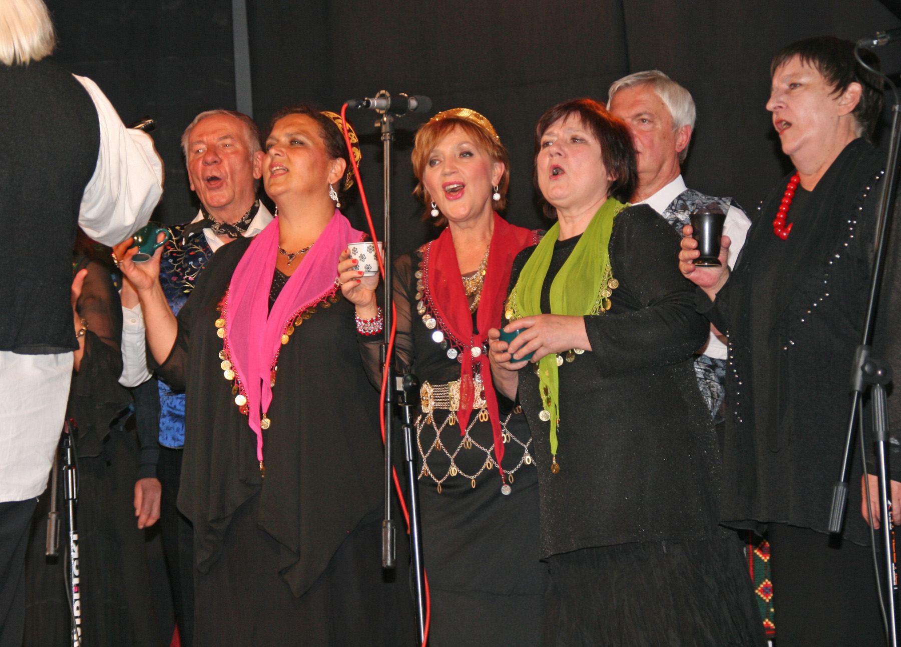 Koncert jubileuszowy "Prasowianek" w Arce