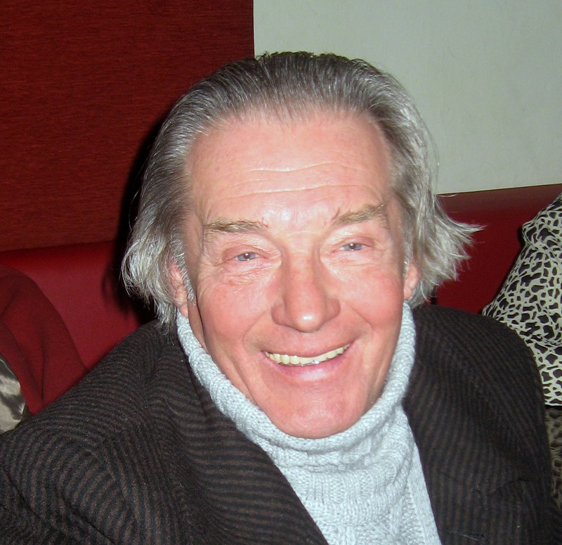 W Jaszczurach